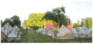 Center for Evolutionary - Yogalove.se 